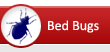 Bed Bugs