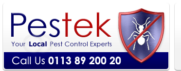 Pestek Pest Control are a professional rodent control company in Leeds West Yorkshire. 